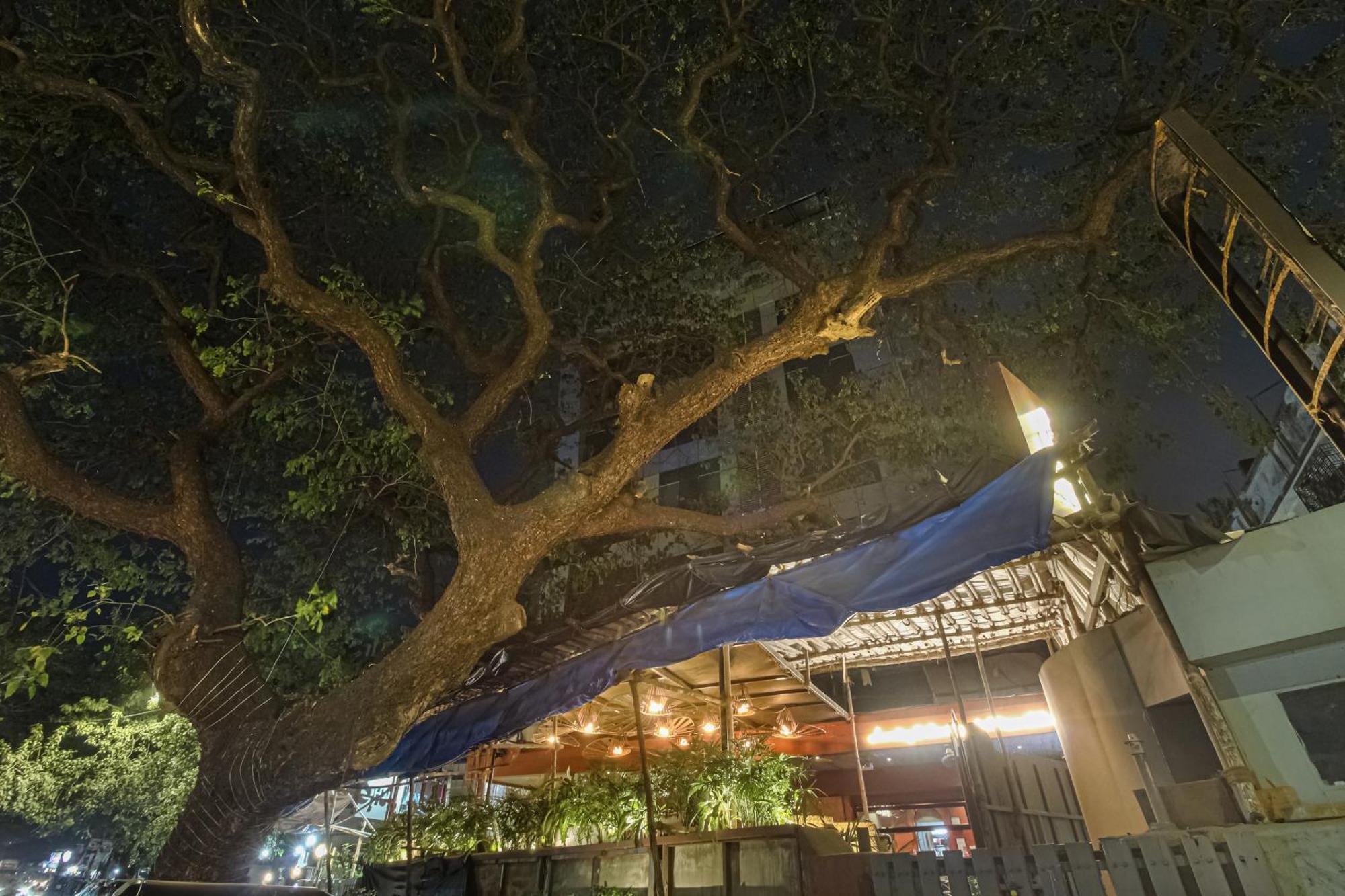 Townhouse Oak Hotel Shubhangan Near Juhu Beach — Photos 1